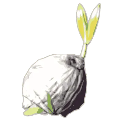 A collage of indigenous arts.